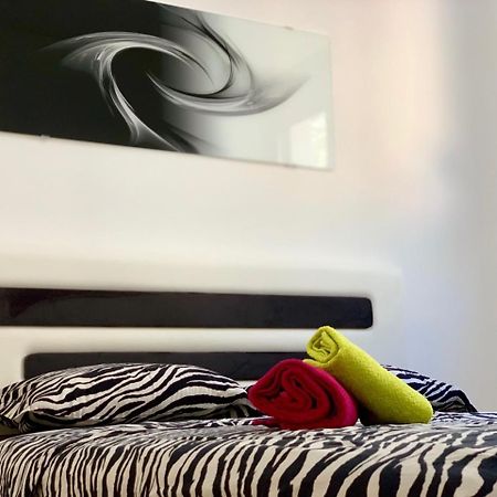 Absolute Apartman โกตอร์ ภายนอก รูปภาพ